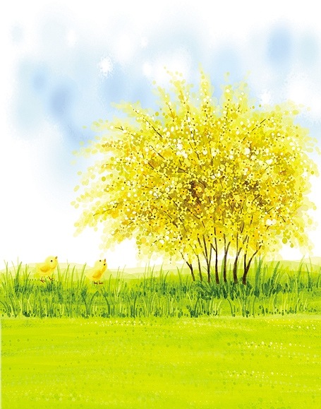 B-y-5669撮影用背景布★多サイズ対応(0.5ｍ x 0.9～3ｍ x 7m）★