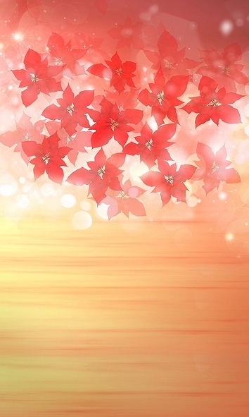 B-y1454撮影用背景布★多サイズ対応(0.5ｍ x 0.9～3ｍ x 7m）★