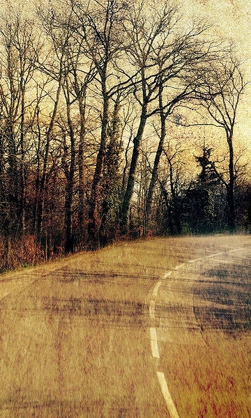 B-y2015撮影用背景布★多サイズ対応(0.5ｍ x 0.9～3ｍ x 7m）★