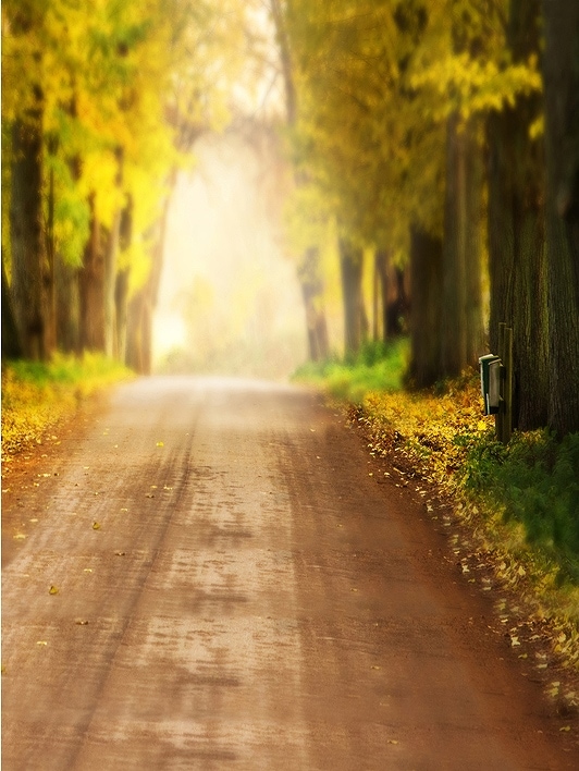 B-y2050撮影用背景布★多サイズ対応(0.5ｍ x 0.9～3ｍ x 7m）★