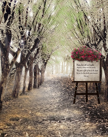 B-y2609撮影用背景布★多サイズ対応(0.5ｍ x 0.9～3ｍ x 7m）★