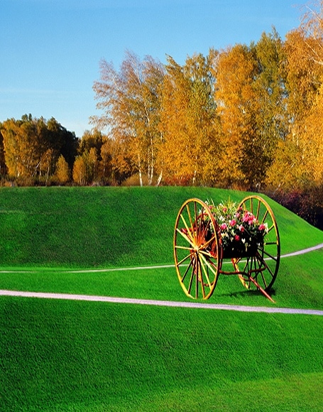 B-y2921撮影用背景布★多サイズ対応(0.5ｍ x 0.9～3ｍ x 7m）★