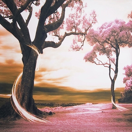 B-1115撮影用背景布★多サイズ対応(0.5ｍ x 0.9～3ｍ x 7m）★