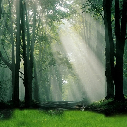 B-1365撮影用背景布★多サイズ対応(0.5ｍ x 0.9～3ｍ x 7m）★