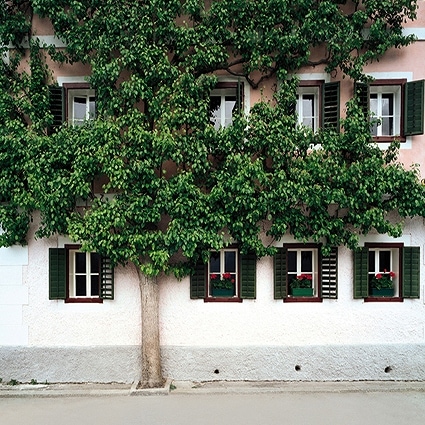 B-1376撮影用背景布★多サイズ対応(0.5ｍ x 0.9～3ｍ x 7m）★