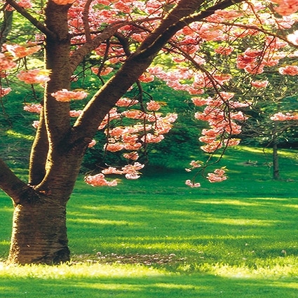 B-2623撮影用背景布★多サイズ対応(0.5ｍ x 0.9～3ｍ x 7m）★