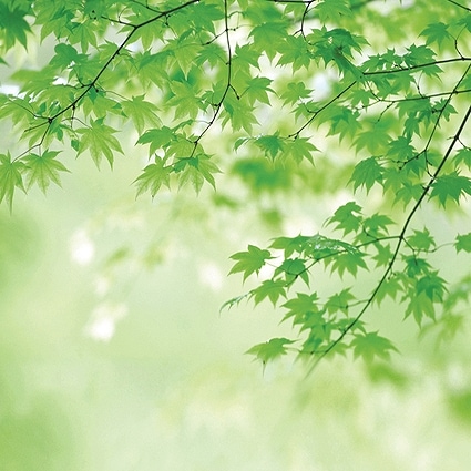 B-5473撮影用背景布★多サイズ対応(0.5ｍ x 0.9～3ｍ x 7m）★