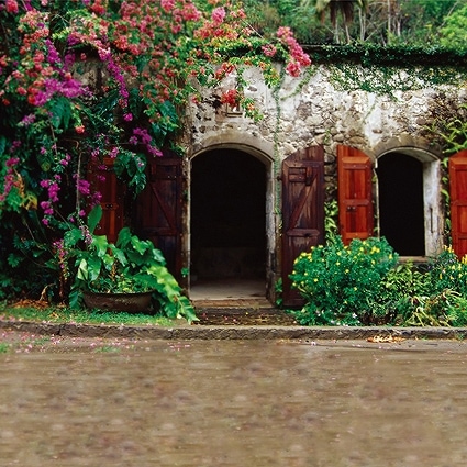 B-5846撮影用背景布★多サイズ対応(0.5ｍ x 0.9～3ｍ x 7m）★