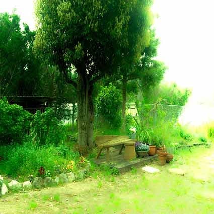 B-7154撮影用背景布★多サイズ対応(0.5ｍ x 0.9～3ｍ x 7m）★