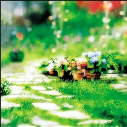 B-7696撮影用背景布★多サイズ対応(0.5ｍ x 0.9～3ｍ x 7m）★