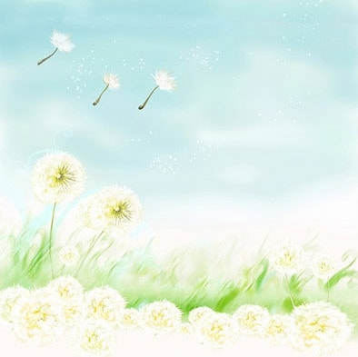 B-7863撮影用背景布★多サイズ対応(0.5ｍ x 0.9～3ｍ x 7m）★