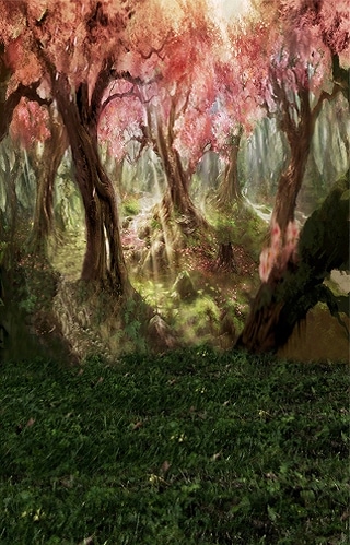 B-w370撮影用背景布★多サイズ対応(0.5ｍ x 0.9～3ｍ x 7m）★