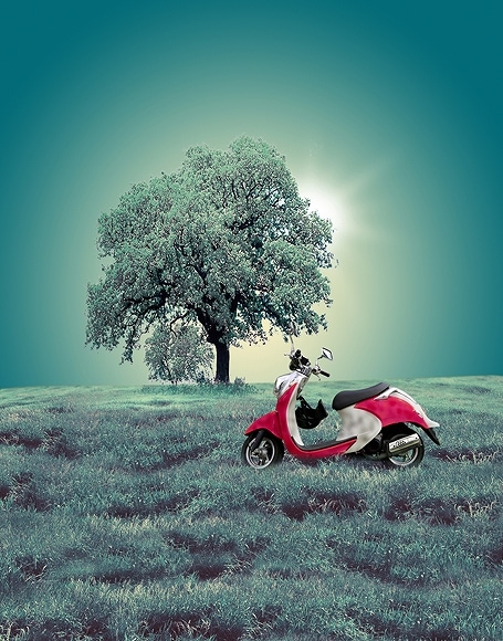 B-y-3115撮影用背景布★多サイズ対応(0.5ｍ x 0.9～3ｍ x 7m）★