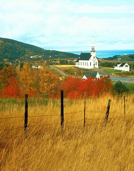 B-y-3761撮影用背景布★多サイズ対応(0.5ｍ x 0.9～3ｍ x 7m）★