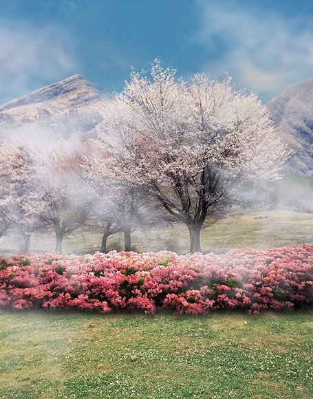 B-y-4414撮影用背景布★多サイズ対応(0.5ｍ x 0.9～3ｍ x 7m）★