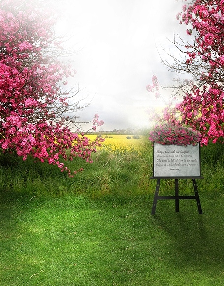 B-y-4528撮影用背景布★多サイズ対応(0.5ｍ x 0.9～3ｍ x 7m）★