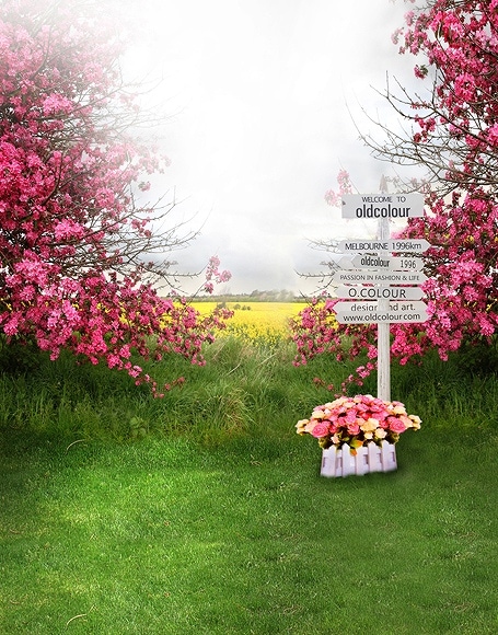 B-y-4539撮影用背景布★多サイズ対応(0.5ｍ x 0.9～3ｍ x 7m）★