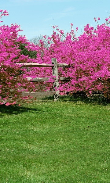 B-y2007撮影用背景布★多サイズ対応(0.5ｍ x 0.9～3ｍ x 7m）★