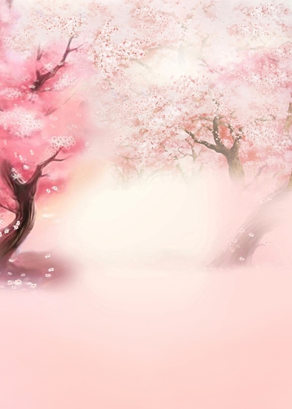 B-y2048撮影用背景布★多サイズ対応(0.5ｍ x 0.9～3ｍ x 7m）★