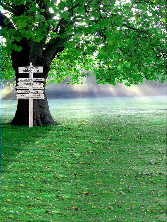 B-y2062撮影用背景布★多サイズ対応(0.5ｍ x 0.9～3ｍ x 7m）★