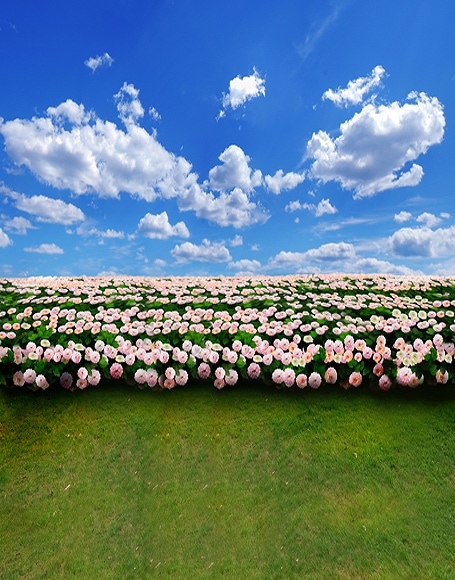 B-y2537撮影用背景布★多サイズ対応(0.5ｍ x 0.9～3ｍ x 7m）★