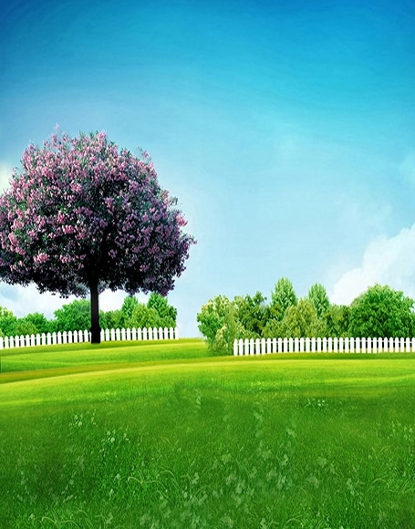 B-y2594撮影用背景布★多サイズ対応(0.5ｍ x 0.9～3ｍ x 7m）★