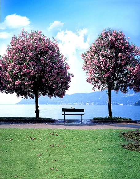 B-y2925撮影用背景布★多サイズ対応(0.5ｍ x 0.9～3ｍ x 7m）★