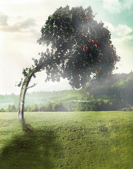 B-y2939撮影用背景布★多サイズ対応(0.5ｍ x 0.9～3ｍ x 7m）★