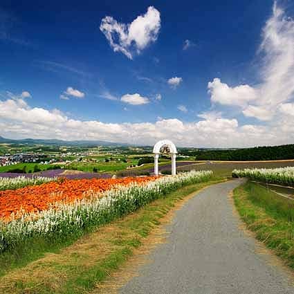 B-zz-7156撮影用背景布★多サイズ対応(0.5ｍ x 0.9～3ｍ x 7m）★