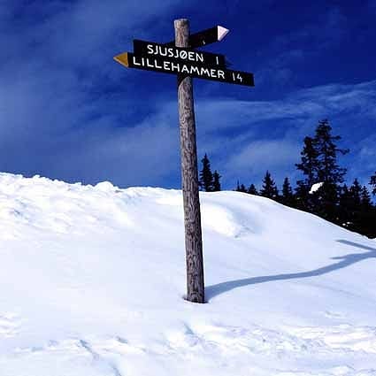 B-1639撮影用背景布★多サイズ対応(0.5ｍ x 0.9～3ｍ x 7m）★