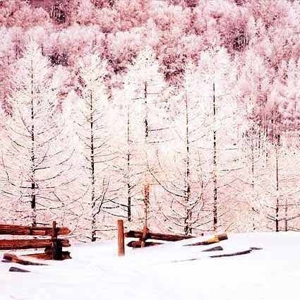 B-2141撮影用背景布★多サイズ対応(0.5ｍ x 0.9～3ｍ x 7m）★