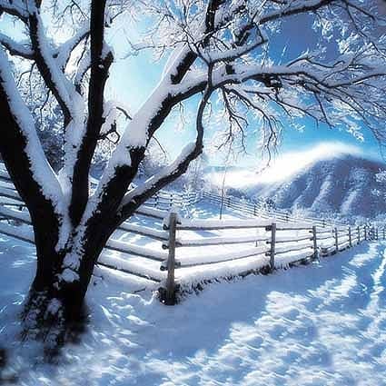 B-2503撮影用背景布★多サイズ対応(0.5ｍ x 0.9～3ｍ x 7m）★