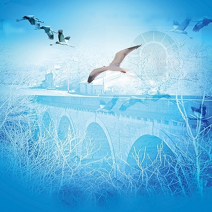 B-4382撮影用背景布★多サイズ対応(0.5ｍ x 0.9～3ｍ x 7m）★