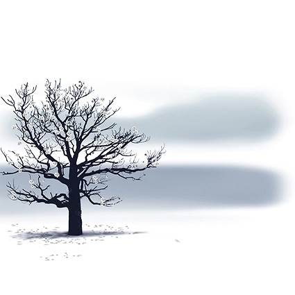 B-4446撮影用背景布★多サイズ対応(0.5ｍ x 0.9～3ｍ x 7m）★