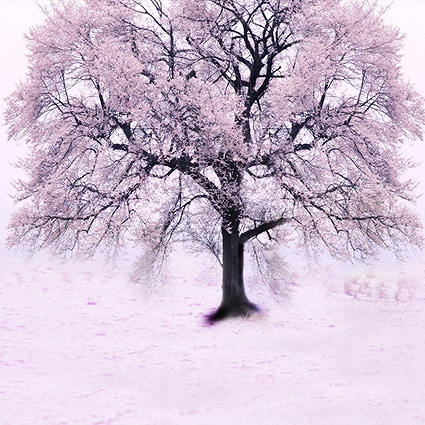 B-4745撮影用背景布★多サイズ対応(0.5ｍ x 0.9～3ｍ x 7m）★