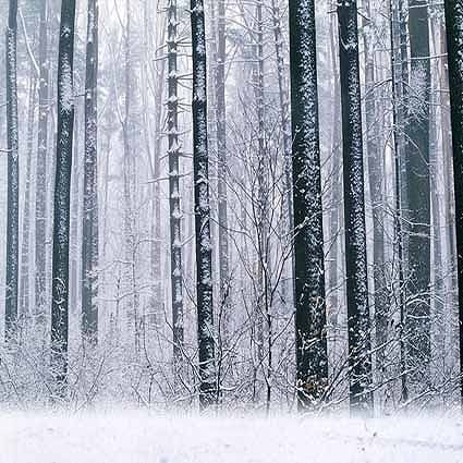 B-4884撮影用背景布★多サイズ対応(0.5ｍ x 0.9～3ｍ x 7m）★