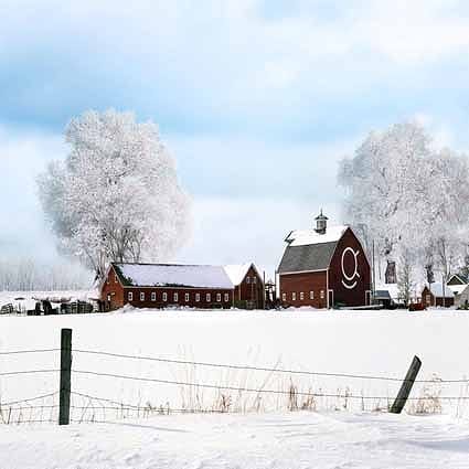 B-5981撮影用背景布★多サイズ対応(0.5ｍ x 0.9～3ｍ x 7m）★