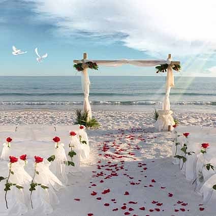 B-6954撮影用背景布★多サイズ対応(0.5ｍ x 0.9～3ｍ x 7m）★