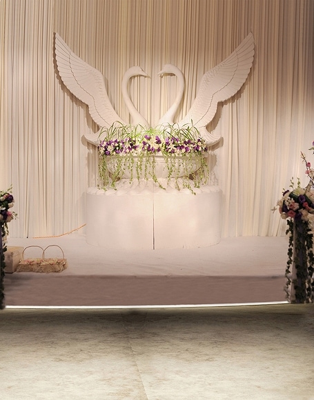 B-y-3030撮影用背景布★多サイズ対応(0.5ｍ x 0.9～3ｍ x 7m）★