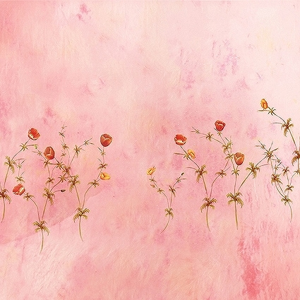 北京製B-5911撮影用背景布★多サイズ対応(0.5ｍ x 0.9～3ｍ x 7m）★