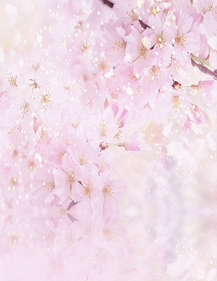 北京製B-y1097撮影用背景布★多サイズ対応(0.5ｍ x 0.9～3ｍ x 7m）★