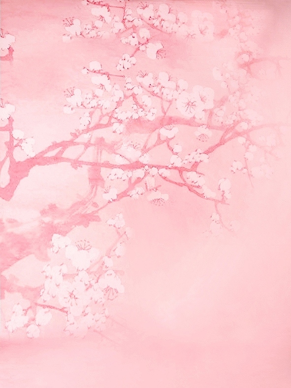 北京製B-y2104撮影用背景布★多サイズ対応(0.5ｍ x 0.9～3ｍ x 7m）★