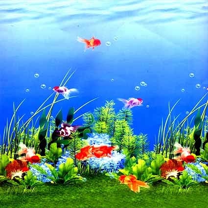 北京製B-4061撮影用背景布★多サイズ対応(0.5ｍ x 0.9～3ｍ x 7m）★