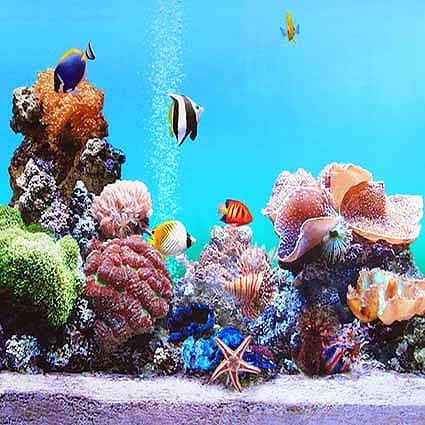 北京製B-4130撮影用背景布★多サイズ対応(0.5ｍ x 0.9～3ｍ x 7m）★