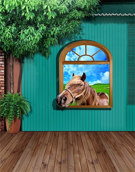 北京製B-y-5147撮影用背景布★多サイズ対応(0.5ｍ x 0.9～3ｍ x 7m）★