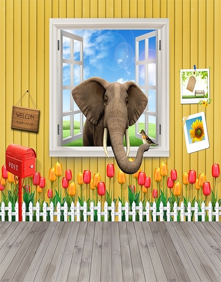 北京製B-y-5156撮影用背景布★多サイズ対応(0.5ｍ x 0.9～3ｍ x 7m）★