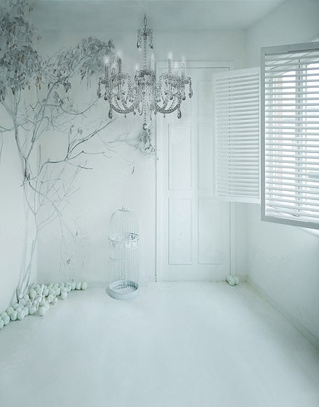 北京製B-y-4059撮影用背景布★多サイズ対応(0.5ｍ x 0.9～3ｍ x 7m）★