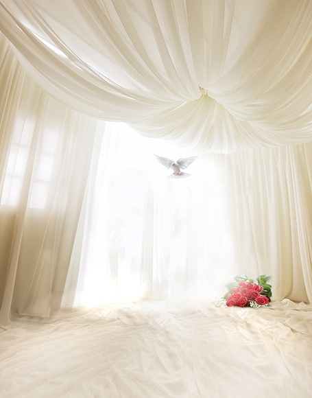 北京製B-y-4209撮影用背景布★多サイズ対応(0.5ｍ x 0.9～3ｍ x 7m）★