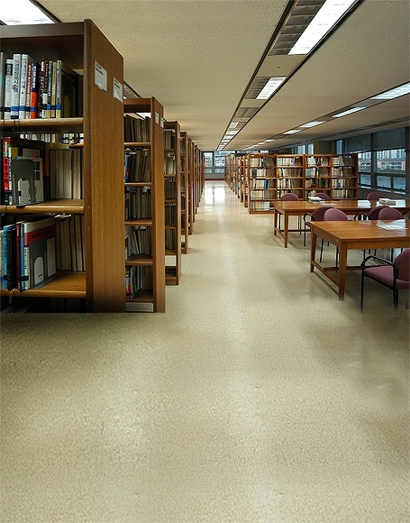 北京製B-y-5099撮影用背景布★多サイズ対応(0.5ｍ x 0.9～3ｍ x 7m）★