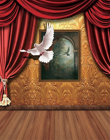 北京製B-y-5116撮影用背景布★多サイズ対応(0.5ｍ x 0.9～3ｍ x 7m）★